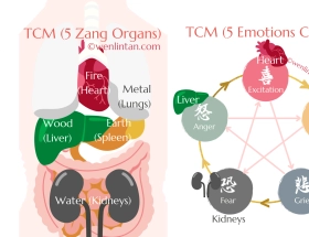 Acupunctuur - Mentaal en Emotionele Klachten