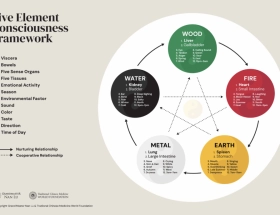 Acupunctuur - Mentaal en Emotionele Klachten
